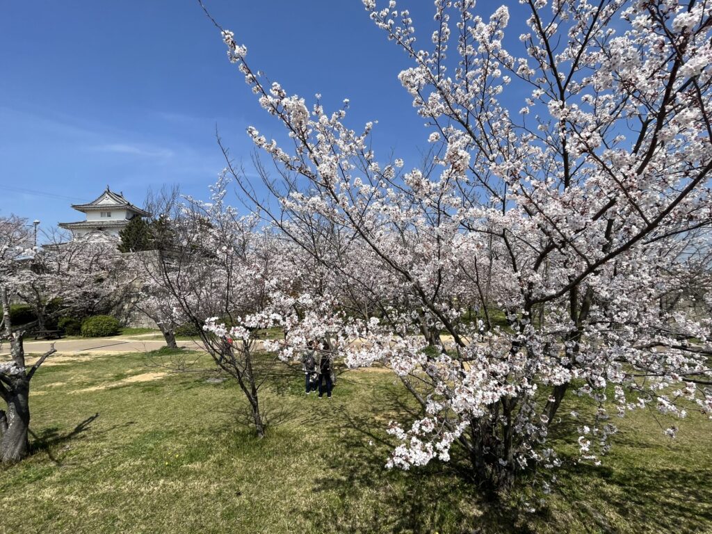 丸亀城